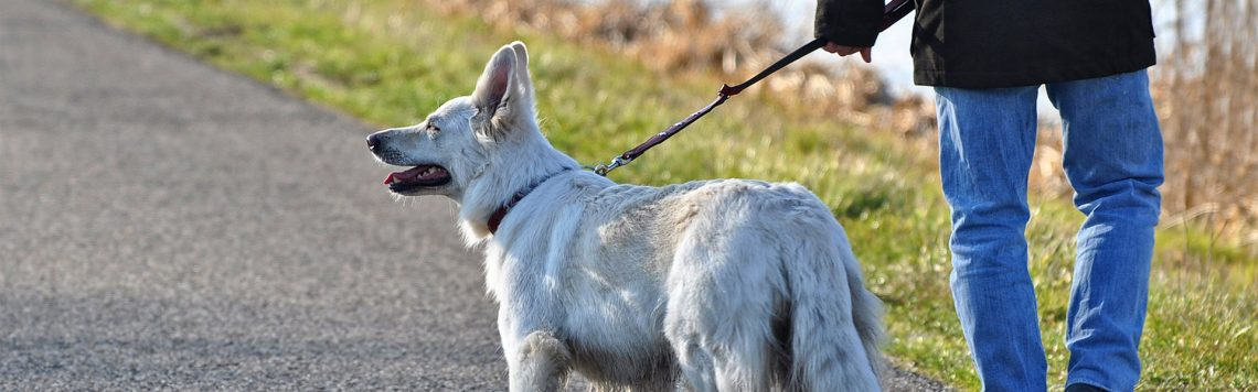 Einzelcoaching & Kaufberatung