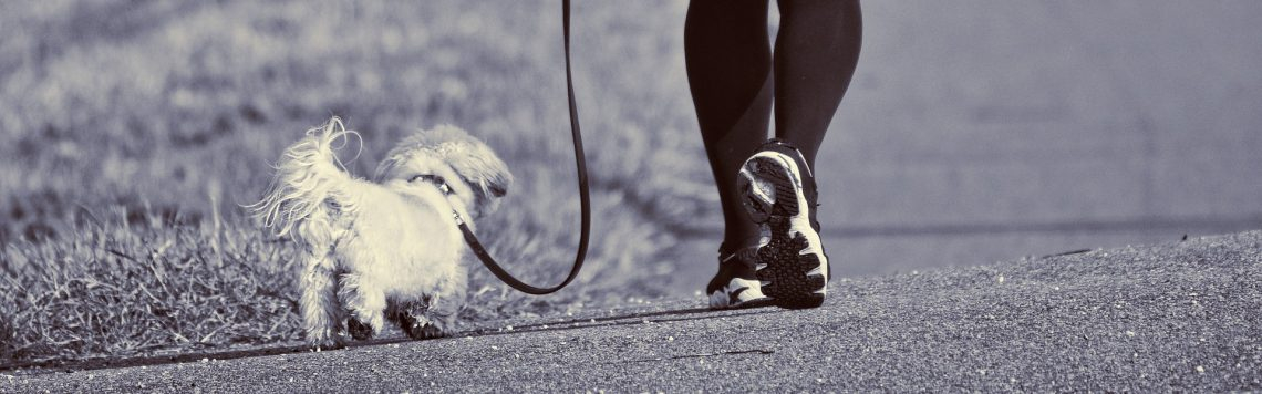 Social Walks & Wanderungen